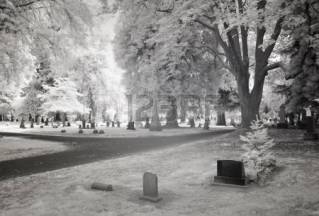17307834-infrared-photo-of-lone-fir-cemetery-in-portland-oregon